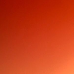 Meet your Posher, Billy